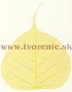 Svetlolt list - V